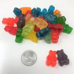 Albanese Gummi Bears 12 Flavors Assorted Fruit 5 Pounds Bulk Gummi Candy 5 Pound