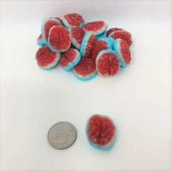 Vidal Golosinas, Located In Spain. Fall / Halloween / Thanksgiving Candy Gummi Brains 1 Pound Brain Candy Halloween Gummy Skull Candy