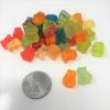 Albanese Gummi Bear Cubs Baby Gummi Bears Mini Gummy Bears 1 Pound
