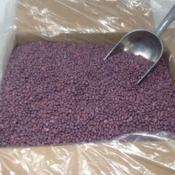 Beulah's Candyland Unwrapped Bulk Candy Wonka Nerds Bulk Grape Nerds Candy 5 Pounds