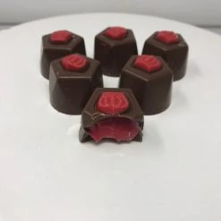 Beulah's Candyland Gourmet Raspberry Truffles Milk Chocolate Candy 1 Pound